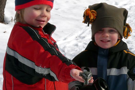 hot chocolate and wild birds