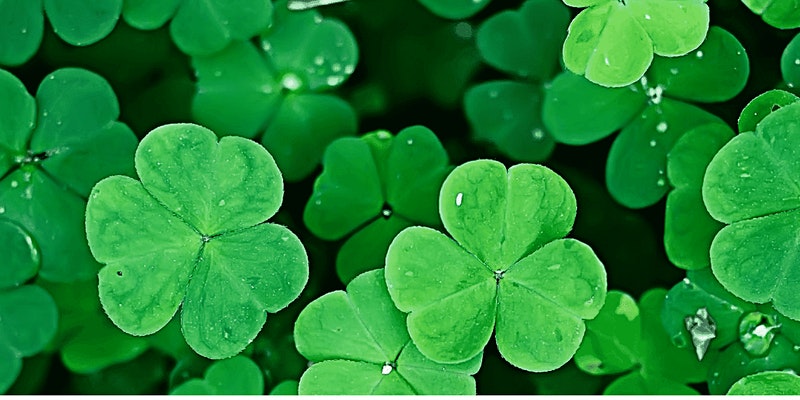 St. Patrick’s Day (in June) Annual Charity Social