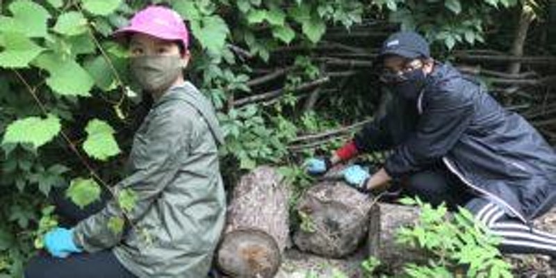 Chris Gibson Park Invasive Species Pull